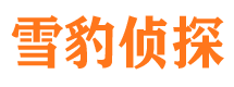 政和侦探公司